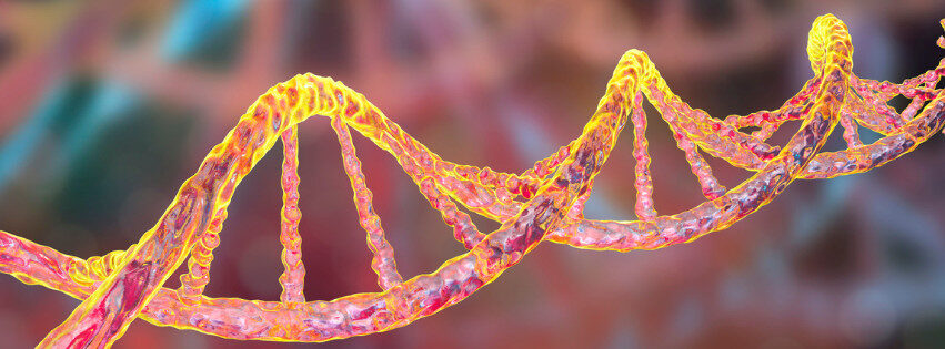 Featured image for “The Genetics of Skin Cancer: Insights from Dr. Kenneth Tsai”